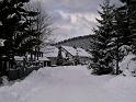 Winter 29